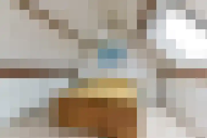 Esdoorn 15 Odijk thumbnail 43