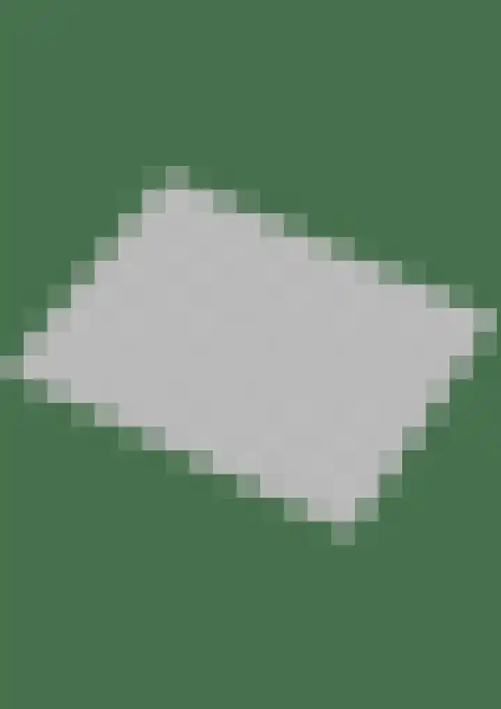 Esdoorn 15 Odijk thumbnail 52
