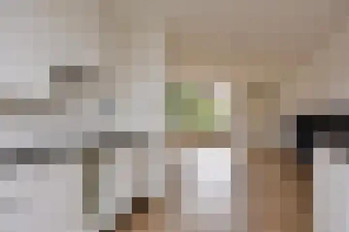 Esdoorn 28 Odijk thumbnail 15