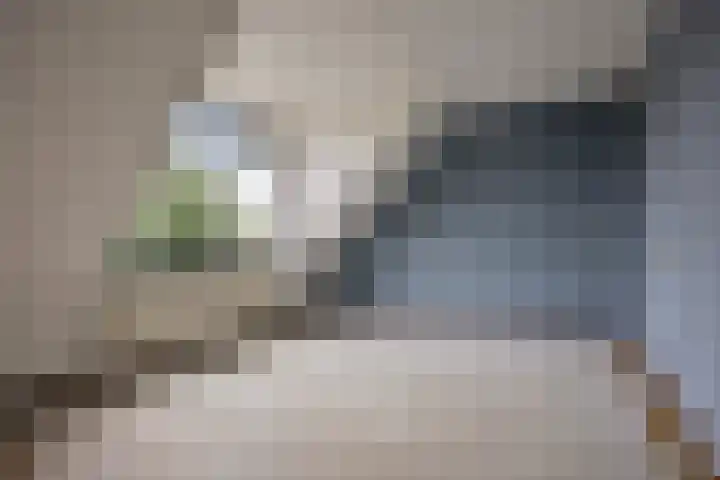 Esdoorn 28 Odijk thumbnail 19