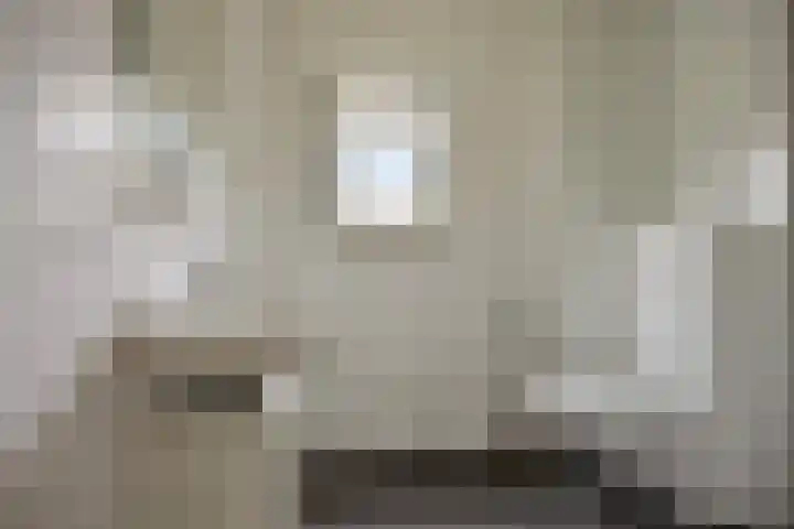Esdoorn 28 Odijk thumbnail 21
