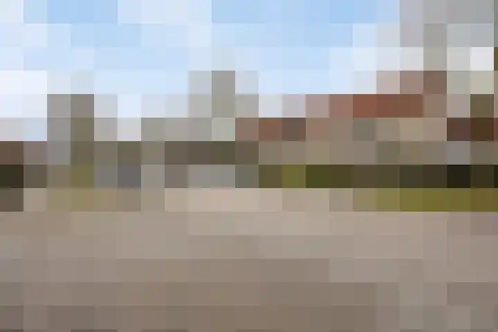 Esdoorn 28 Odijk thumbnail 31