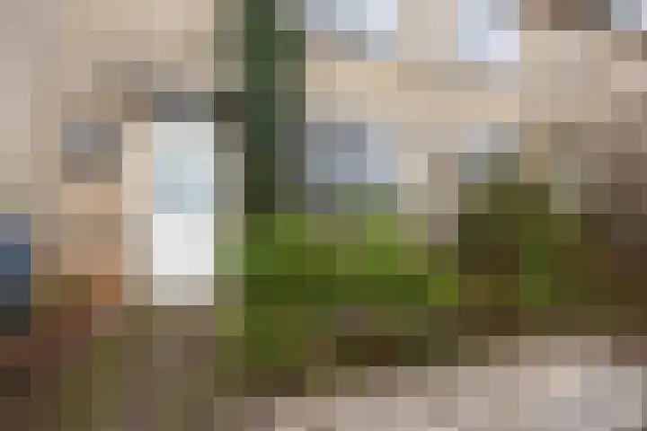 Esdoorn 28 Odijk thumbnail 34