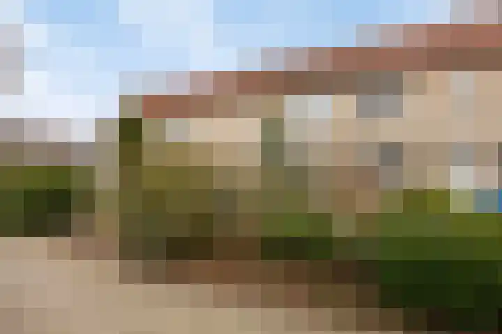 Esdoorn 28 Odijk thumbnail 36