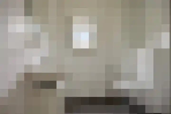 Esdoorn 28 Odijk thumbnail 4