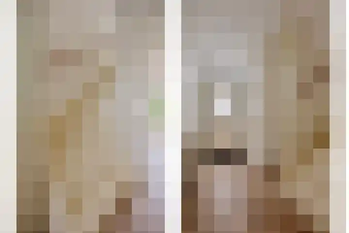 Esdoorn 28 Odijk thumbnail 7