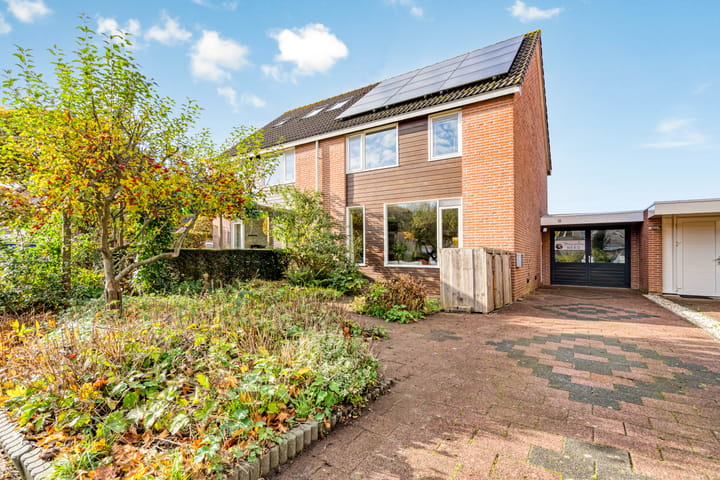 Esdoorn 31 in Odijk foto