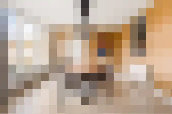 Esdoorn 31 Odijk thumbnail 25