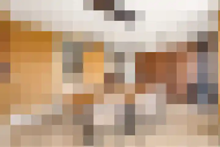 Esdoorn 31 Odijk thumbnail 28
