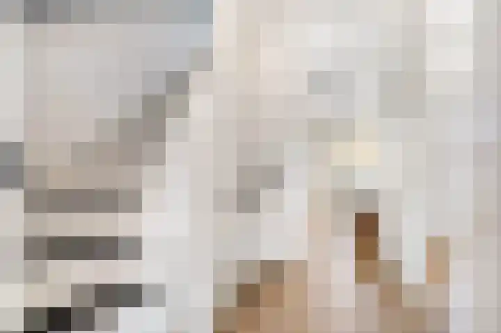 Esdoorn 31 Odijk thumbnail 30