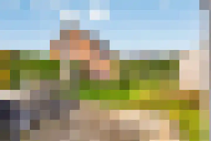Esdoorn 31 Odijk thumbnail 59