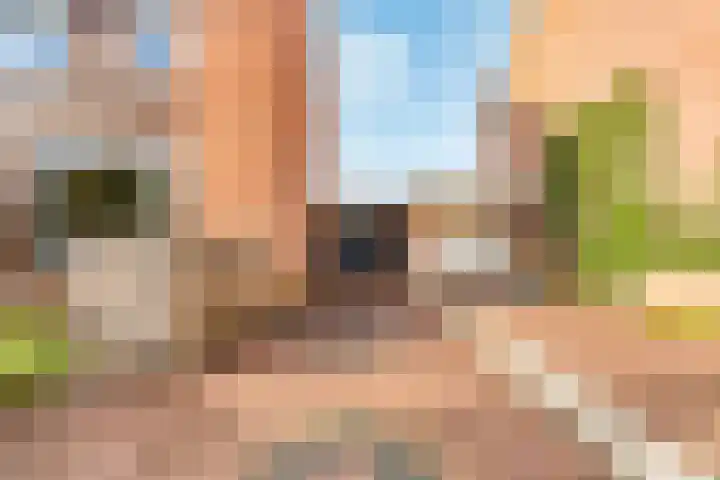 Esdoorn 31 Odijk thumbnail 62