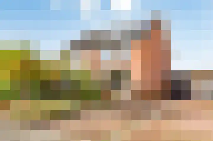 Esdoorn 31 Odijk thumbnail 64