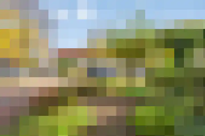 Esdoorn 31 Odijk thumbnail 66