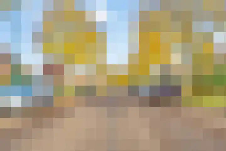 Esdoorn 31 Odijk thumbnail 67