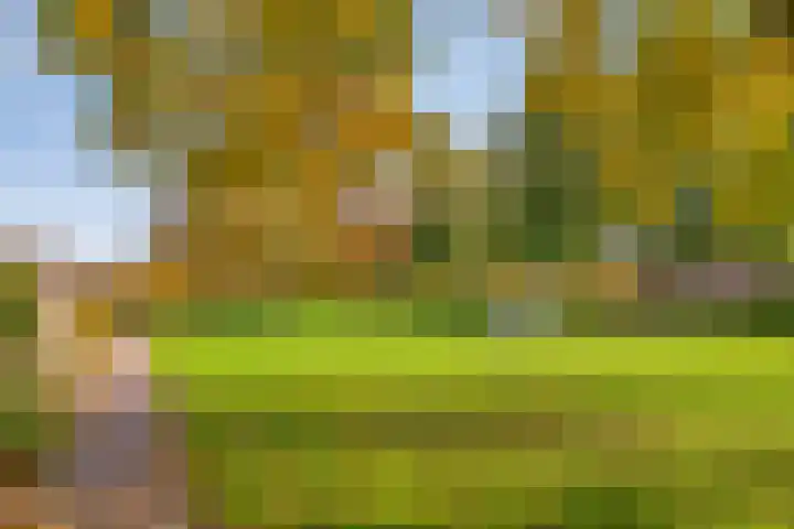 Esdoorn 31 Odijk thumbnail 69