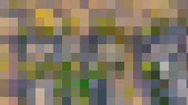 Esdoorn 31 Odijk thumbnail 74