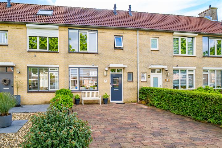 Esdoorn 46 in Odijk foto