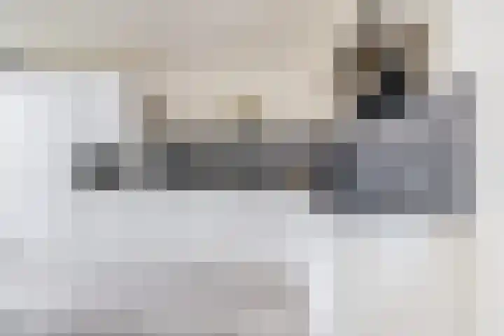 Esdoornhof 11 Dirksland thumbnail 12