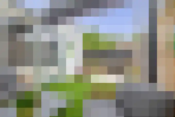 Esdoornhof 11 Dirksland thumbnail 31