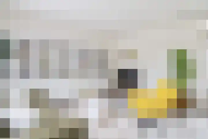 Esdoornhof 11 Dirksland thumbnail 8