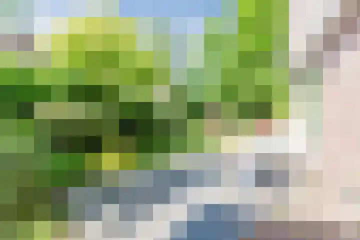 Esdoornhof 2 b Leusden thumbnail 35