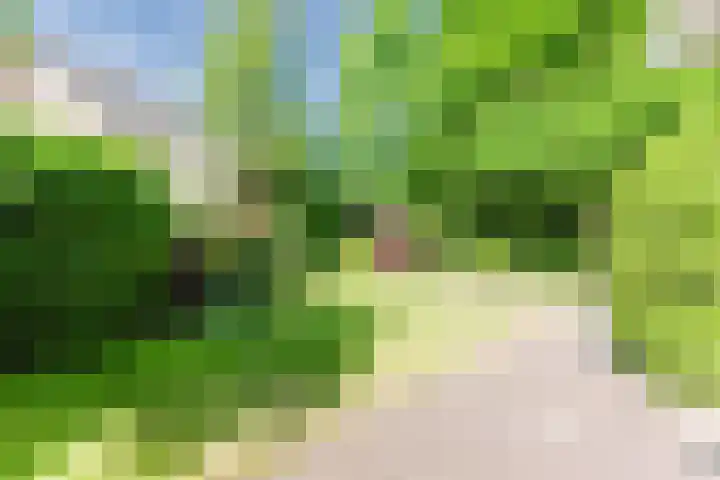 Esdoornhof 2 b Leusden thumbnail 36