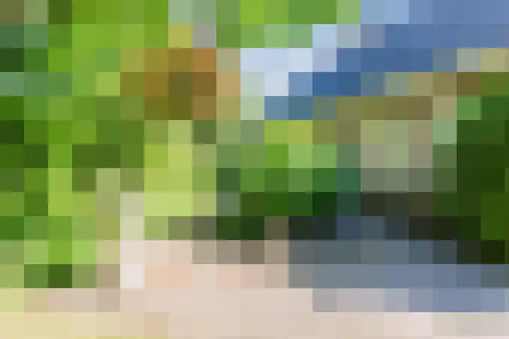 Esdoornhof 2 b Leusden thumbnail 37