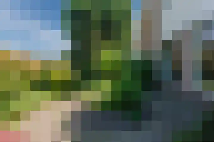 Esdoornhof 2 b Leusden thumbnail 38