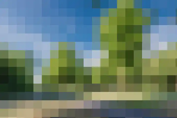 Esdoornhof 2 b Leusden thumbnail 48
