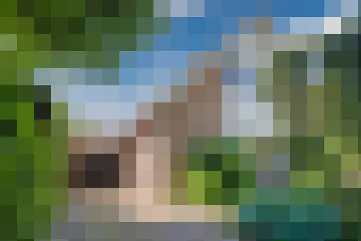 Esdoornhof 2 b Leusden thumbnail 52