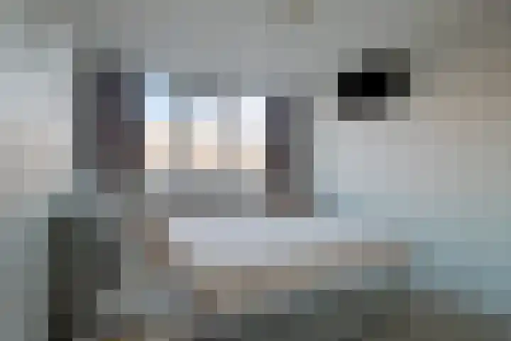 Esdoornlaan 14 Pijnacker thumbnail 18