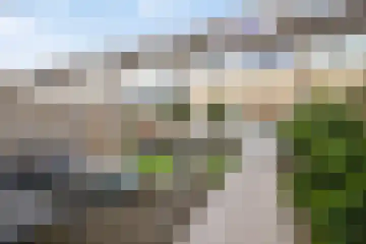 Esdoornlaan 14 Pijnacker thumbnail 31