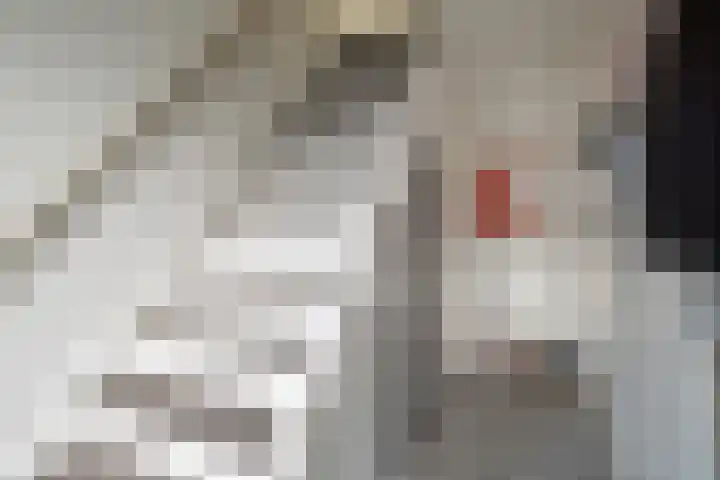 Esdoornlaan 14 Pijnacker thumbnail 7