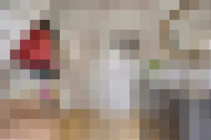 Esdoornlaan 6 Made thumbnail 13