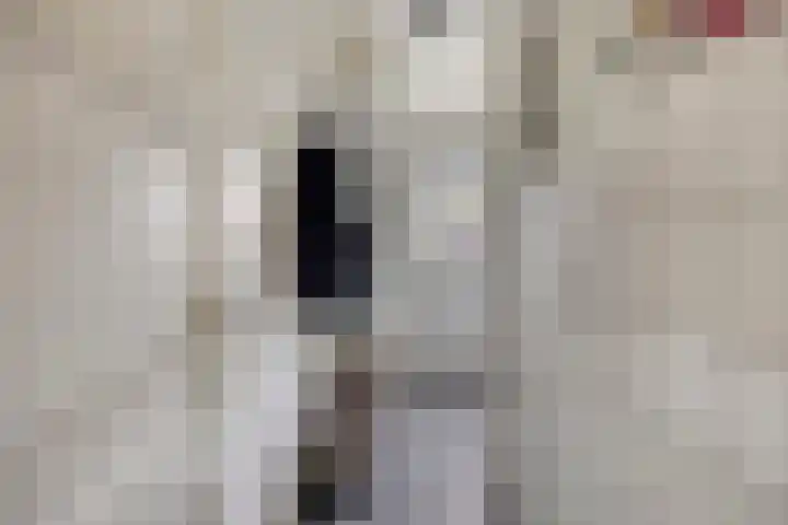 Esdoornlaan 6 Made thumbnail 21