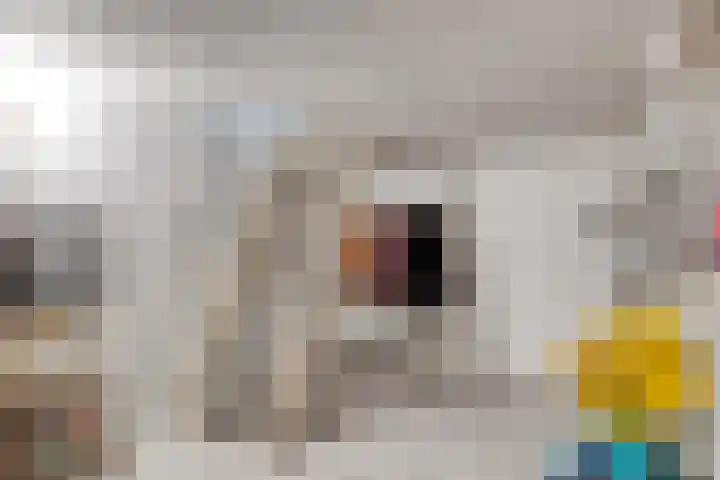 Esdoornlaan 6 Made thumbnail 23