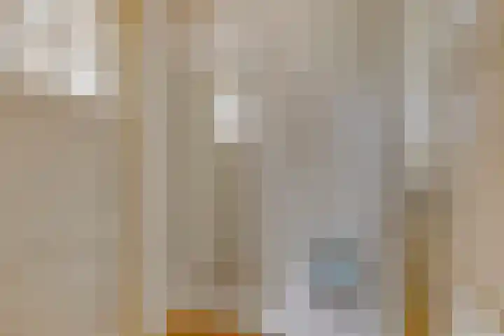 Esdoornlaan 6 Made thumbnail 26