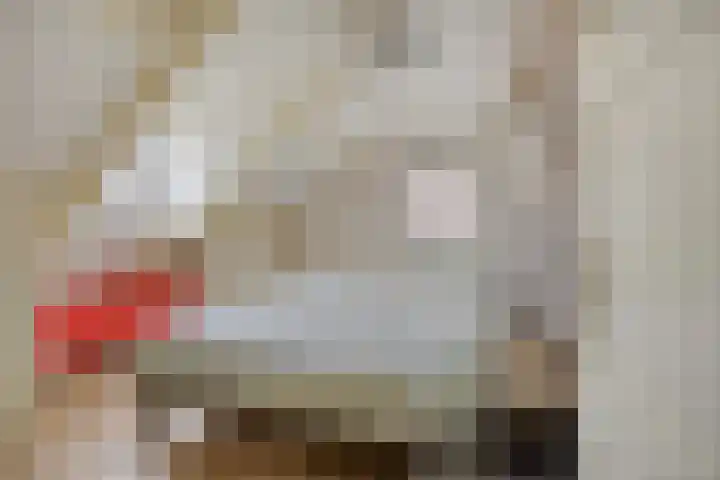 Esdoornlaan 6 Made thumbnail 28