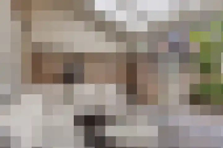Esdoornlaan 6 Made thumbnail 38