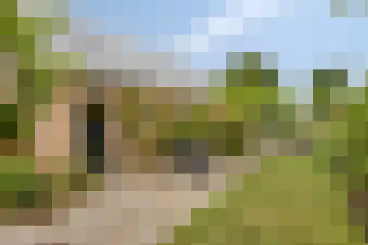 Esdoornlaan 6 Made thumbnail 40