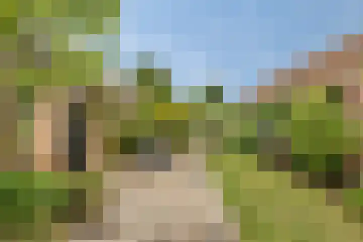 Esdoornlaan 6 Made thumbnail 41