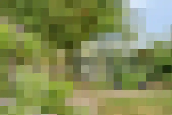 Esdoornlaan 6 Made thumbnail 46