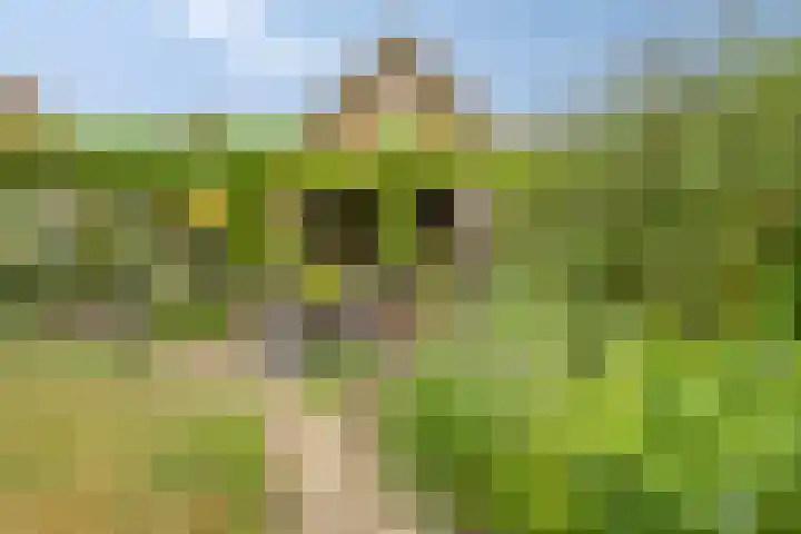 Esdoornlaan 6 Made thumbnail 47
