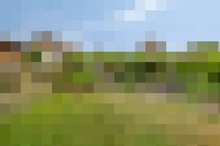 Esdoornlaan 6 Made thumbnail 48