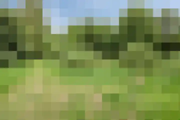 Esdoornlaan 6 Made thumbnail 57