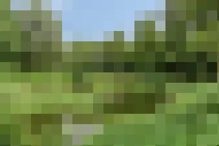 Esdoornlaan 6 Made thumbnail 58
