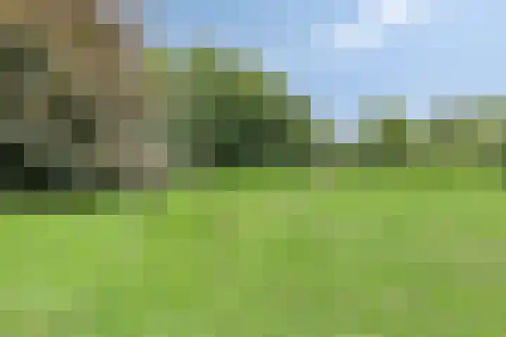 Esdoornlaan 6 Made thumbnail 59