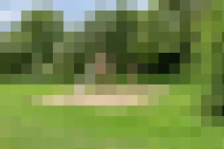 Esdoornlaan 6 Made thumbnail 60