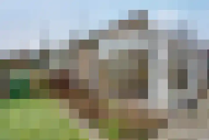 Esdoornstraat 8 Roden thumbnail 34
